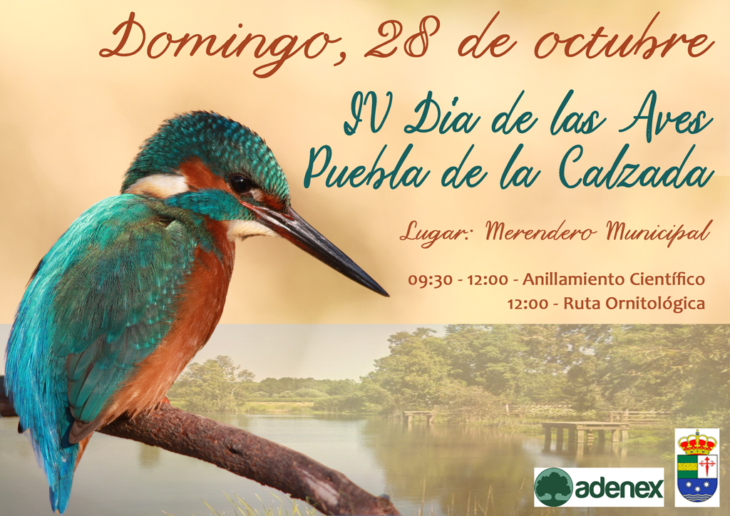 Cartel IV Dia de las Aves Puebla
