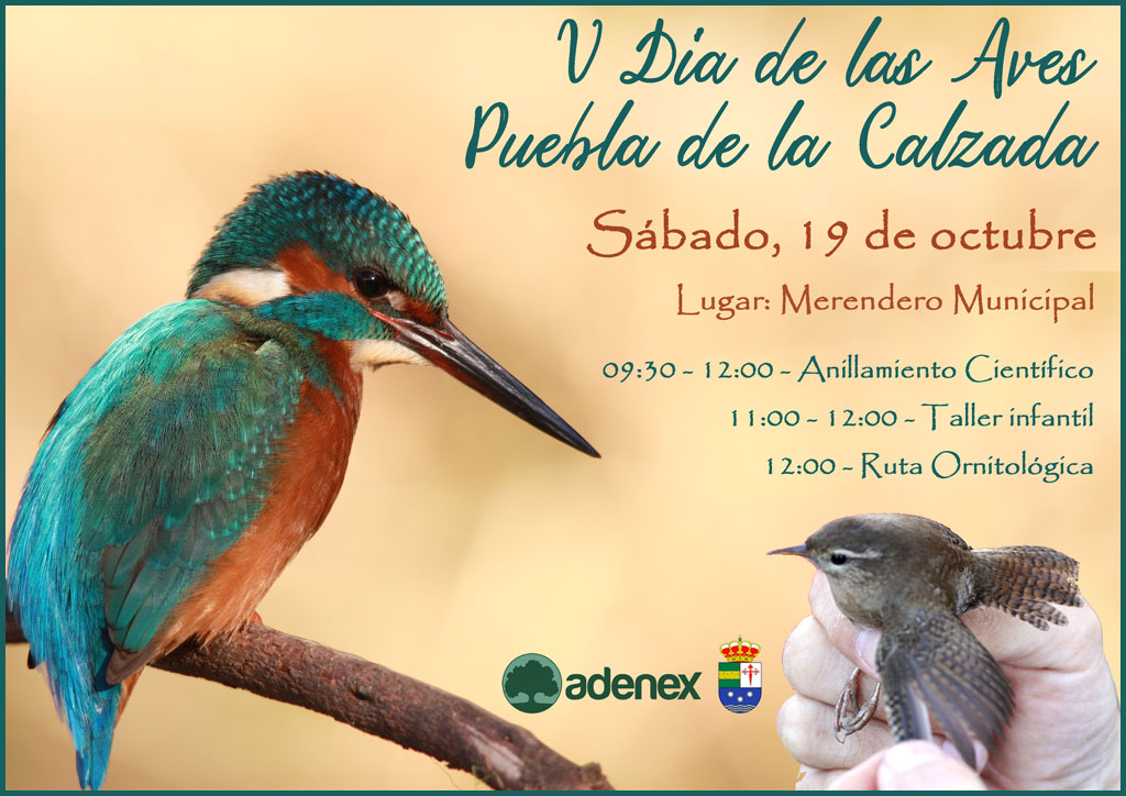 Cartel V DIa de las Aves Puebla