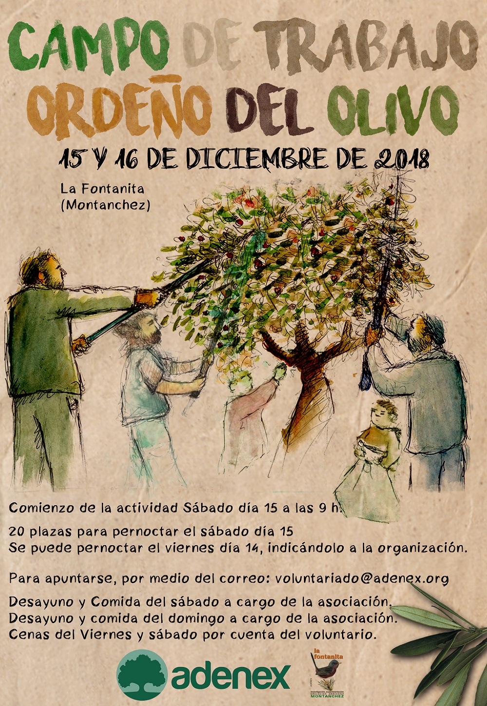cartel ordeno olivo 2018