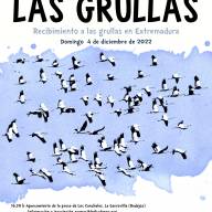 XXXI Día de las Grullas en Extremadura