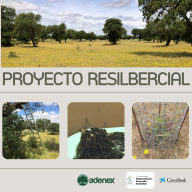 PROYECTO RESILBERCIAL