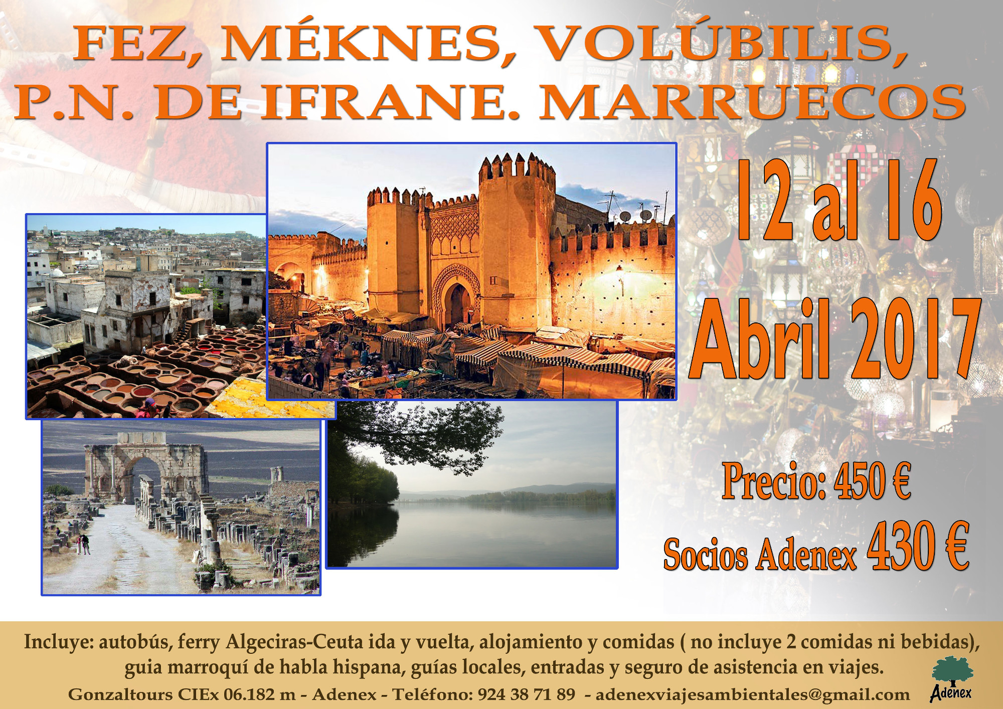 Cartel Fez Meknes